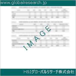 グローバルリサーチ調査資料のイメージ